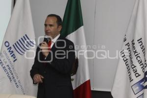 TITULAR DEL INSTITUTO MEXICANO DE LA PROPIEDAD INTELECTUAL