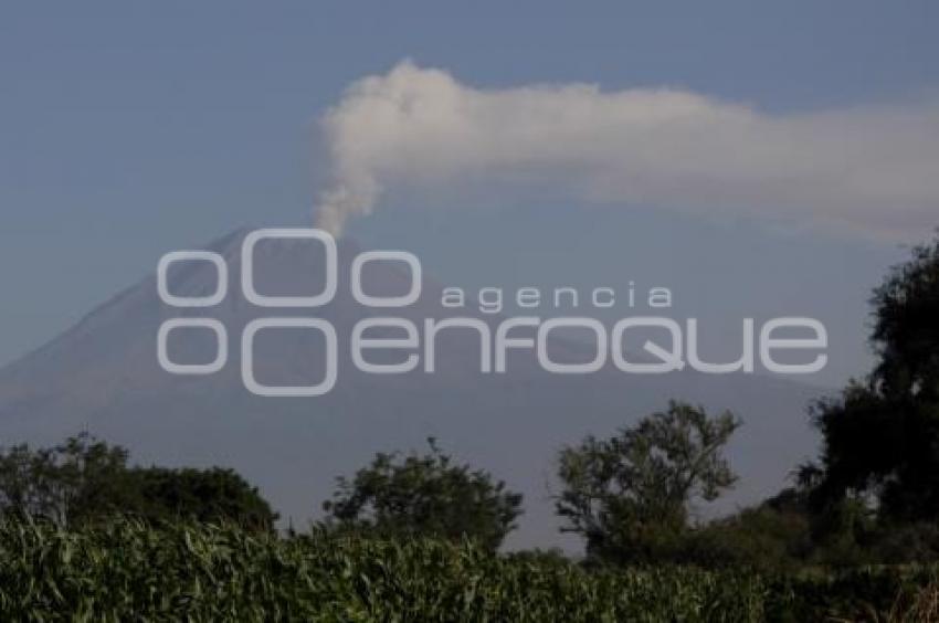FUMAROLA VOLCÁN