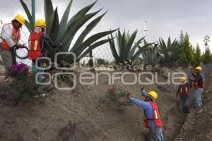 OBRAS DE MEJORAMIENTO EN EL JARDÍN DEL ARTE