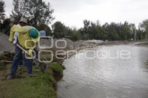 OBRAS DE MEJORAMIENTO DEL JARDÍN DEL ARTE