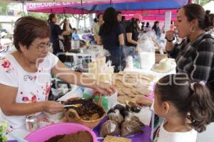 FERIA DEL MOLE