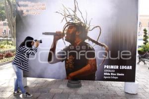 CONCURSO . MIRADAS DEL FESTIVAL 5 DE MAYO