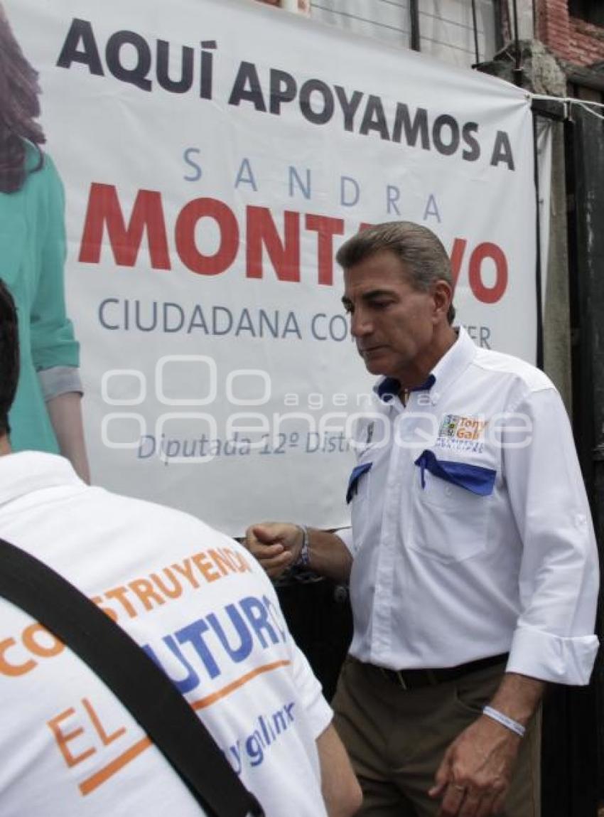 TONY GALI EN AMALUCAN