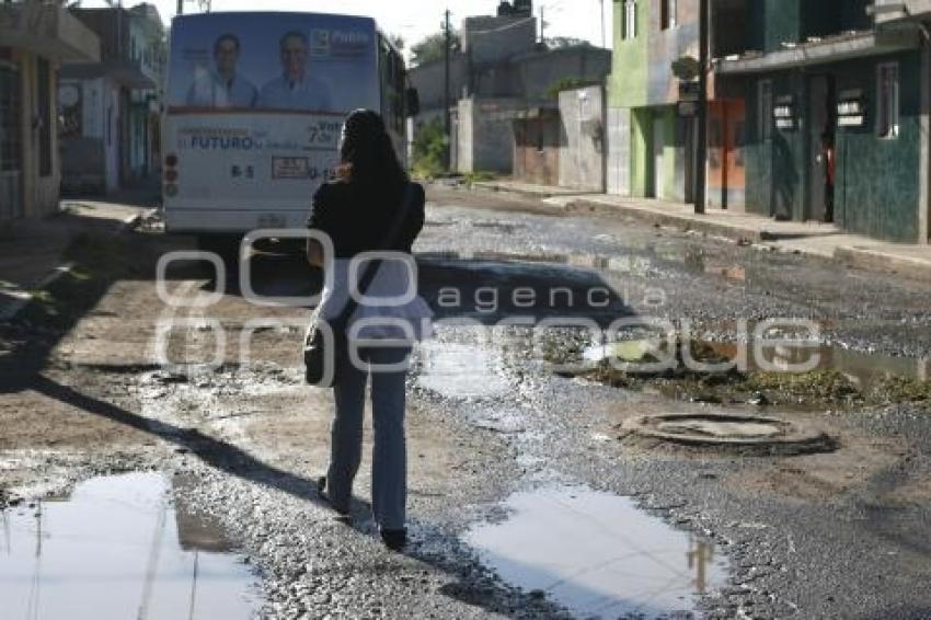 BACHES