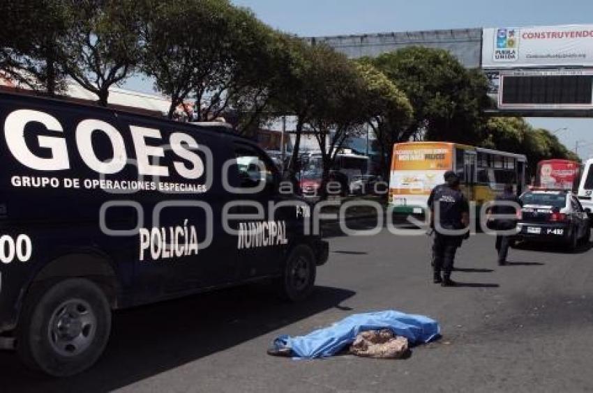 MUERE MUJER ATROPELLADA
