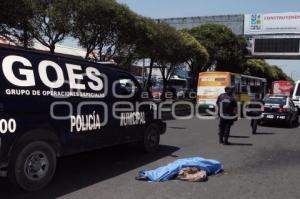 MUERE MUJER ATROPELLADA