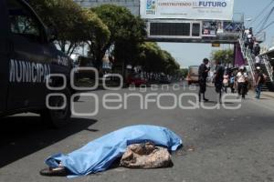 MUERE MUJER ATROPELLADA