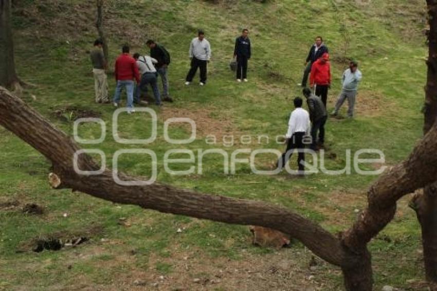 AYUNTAMIENTO . REFORESTACIÓN JAGÜEY DE AGUA SANTA