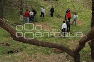 AYUNTAMIENTO . REFORESTACIÓN JAGÜEY DE AGUA SANTA