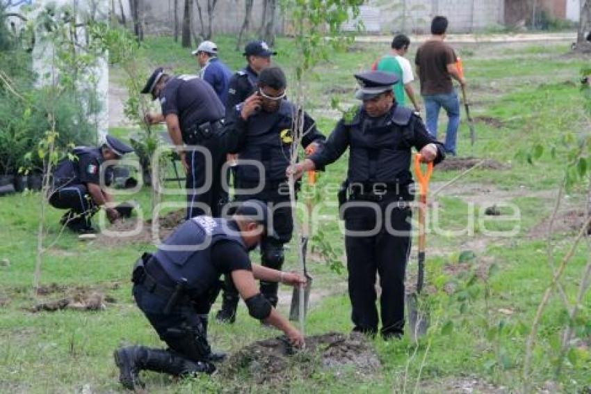 REFORESTACIÓN JAGÜEY DE AGUA SANTA