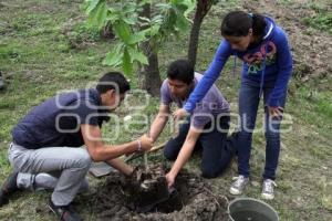 AYUNTAMIENTO . REFORESTACIÓN JAGÜEY DE AGUA SANTA