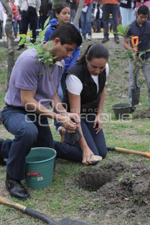 AYUNTAMIENTO . REFORESTACIÓN JAGÜEY DE AGUA SANTA