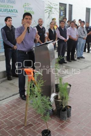 AYUNTAMIENTO . REFORESTACIÓN JAGÜEY DE AGUA SANTA