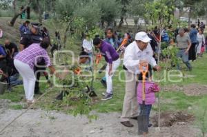 REFORESTACIÓN JAGÜEY DE AGUA SANTA