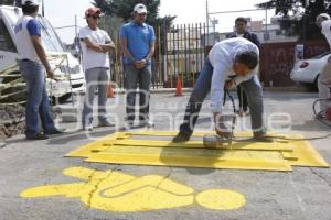 FRANCO RODRÍGUEZ REALIZA PINTA DE CEBRAS