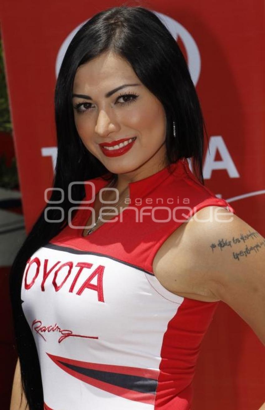 CARRERA NASCAR TOYOTA SERIES