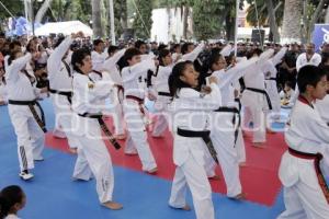 CUENTA REGRESIVA DEL CAMPEONATO MUNDIAL DE TAE KWON DO