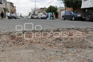 BACHES