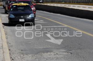 BACHES