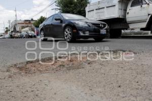 BACHES