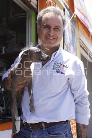 PABLO RODRIGUEZ  CANDIDATO DISTRITO 14 COALICIÓN PUEBLA UNIDAD