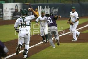 PERICOS PUEBLA VS DELFINES DE CD DEL CARMEN