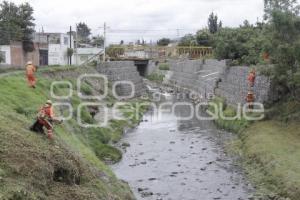 LIMPIEZA DE BARRACAS. AYUNTAMIENTO