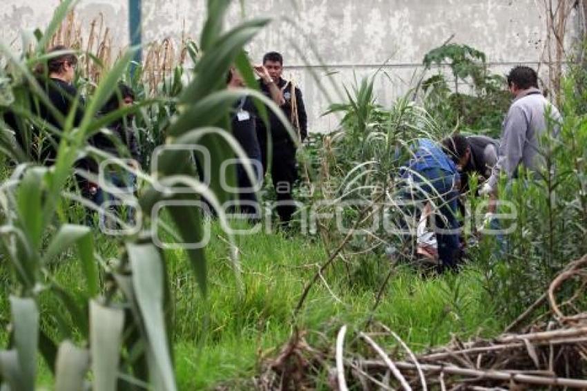 MUJER ASESINADA