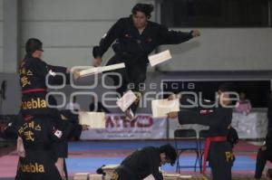 PREMUNDIAL DE TAE KWON DO