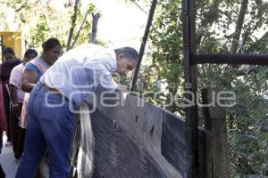 FRANCO RODRÍGUEZ RECORRE COLONIA LOMAS 5 DE MAYO