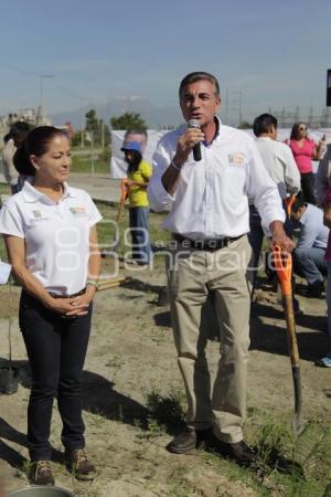 CAMPAÑAS . REFORESTACIÓN . TONY GALI