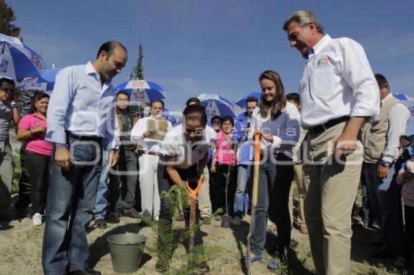 CAMPAÑAS . REFORESTACIÓN . TONY GALI