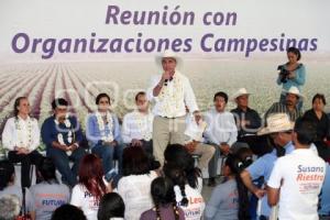 CAMPAÑAS . TONY GALI