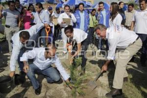 CAMPAÑAS . REFORESTACIÓN . TONY GALI