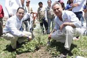 PABLO RODRIGUEZ  CANDIDATO DISTRITO 14 PUEBLA UNIDAD EN LA MARGARITA