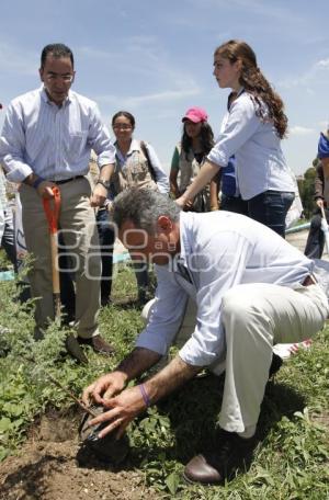 PABLO RODRIGUEZ  CANDIDATO DISTRITO 14 PUEBLA UNIDAD EN LA MARGARITA