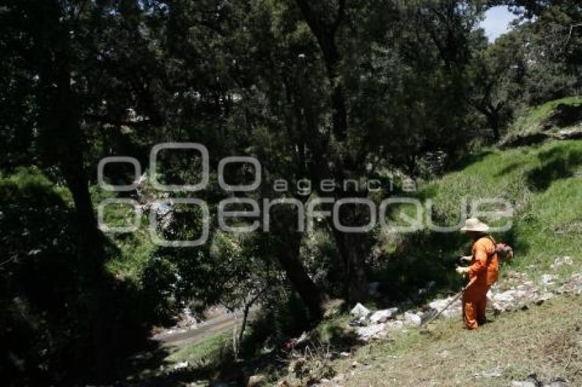 LIMPIEZA BARRANCA ATEMPAN