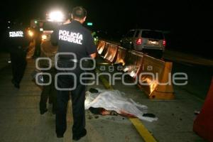 ATROPELLADO EN AUTOPISTA