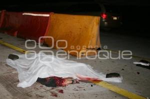 ATROPELLADO EN AUTOPISTA