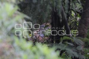 HALLAN EJECUTADO JUNTO AL ATOYAC