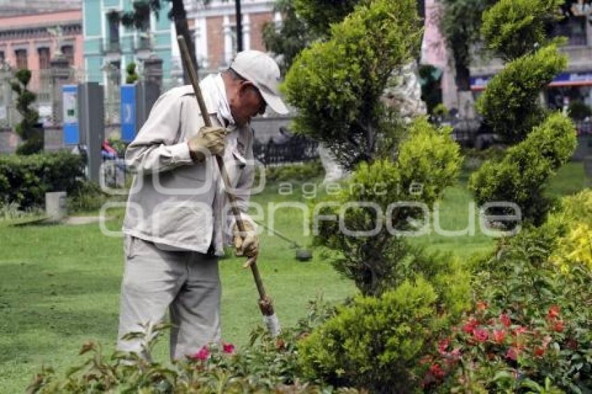 VIDA COTIDIANA. ZÓCALO