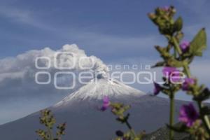 FUMAROLA DEL VOLCÁN POPOCATÉPETL