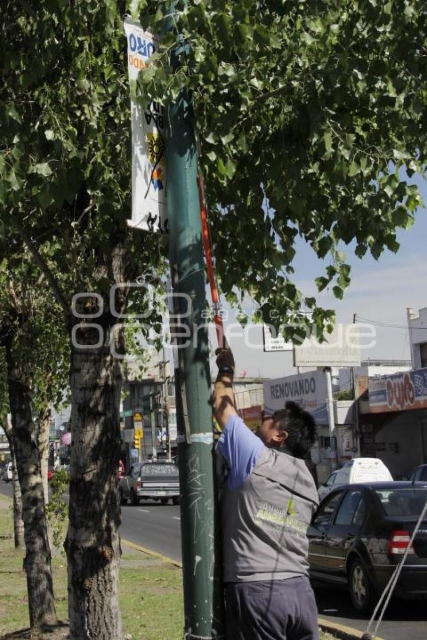 AYUNTAMIENTO RETIRA PROPAGANDA ELECTORAL