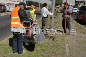 AYUNTAMIENTO RETIRA PROPAGANDA ELECTORAL