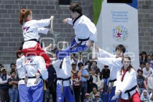 DEMOSTRACIÓN DE LA SELECCIÓN COREANA DE TAE KWON DO