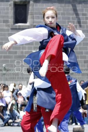 DEMOSTRACIÓN DE LA SELECCIÓN COREANA DE TAE KWON DO