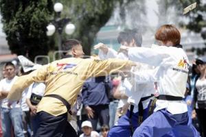 DEMOSTRACIÓN DE LA SELECCIÓN COREANA DE TAE KWON DO