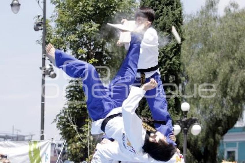DEMOSTRACIÓN DE LA SELECCIÓN COREANA DE TAE KWON DO