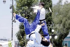 DEMOSTRACIÓN DE LA SELECCIÓN COREANA DE TAE KWON DO