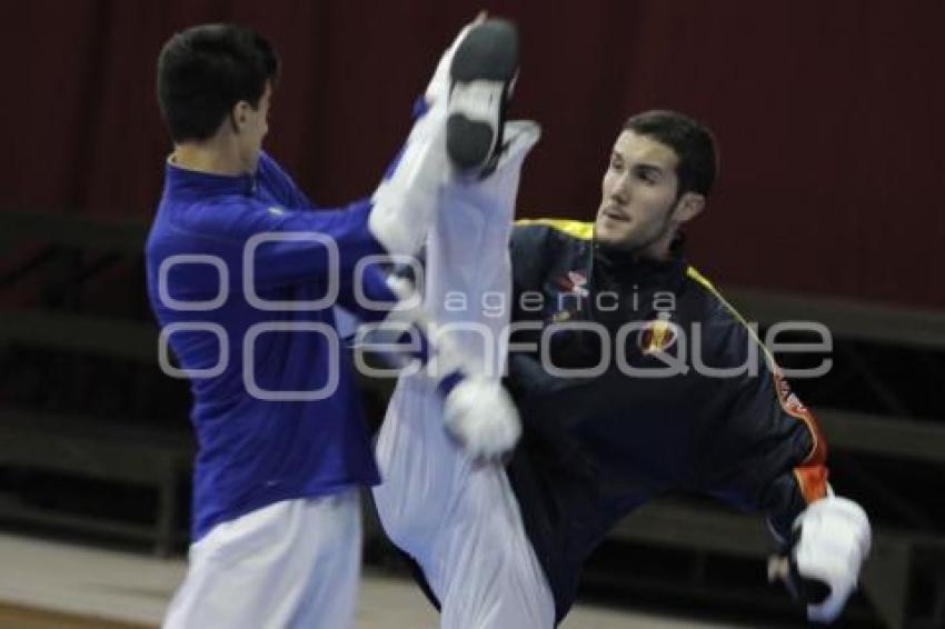 ENTRENAMIENTO SELECCIÓN ESPAÑOLA TAE KWON DO